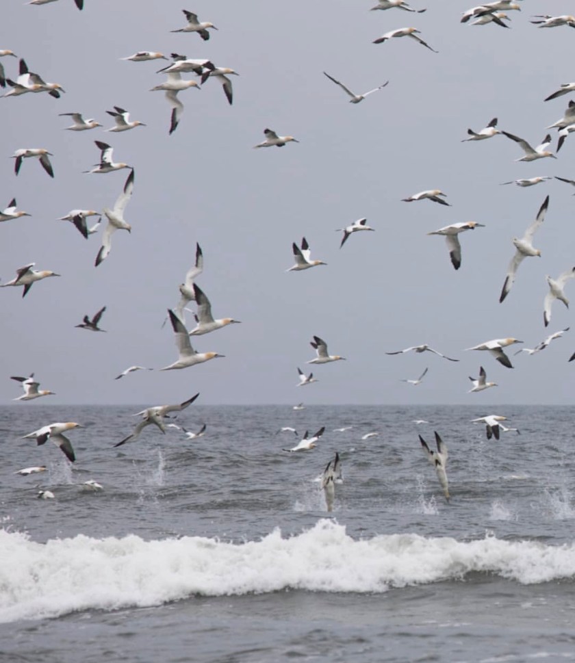 Fishing Report Update March 30, 2019