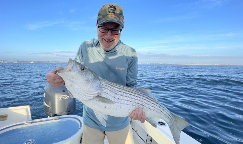 Striped Bass Commercial Quote Transfers