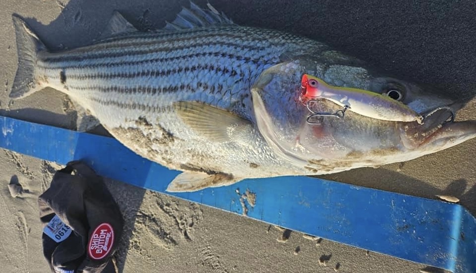 Start Your Engines! March 1st Is Here. - LBI NJ Fishing Report