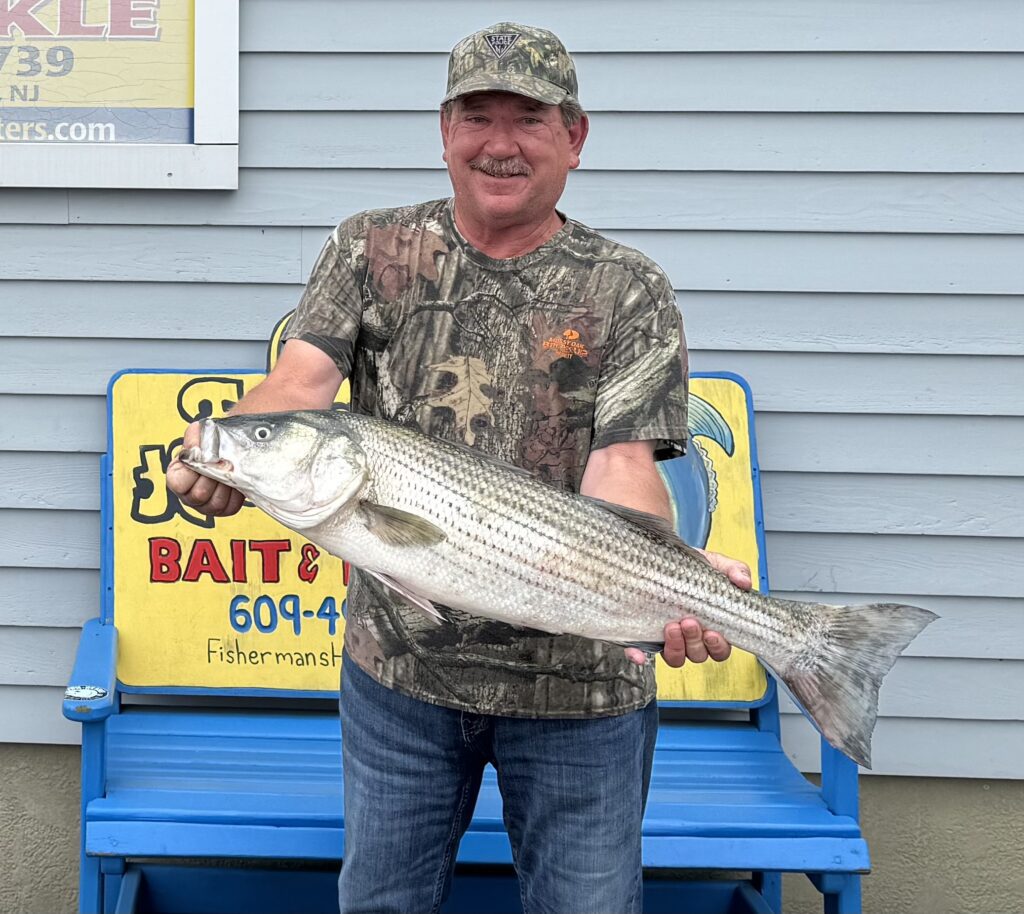 Steve Taylor took the lead in the LBI Spring Surf Fishing Derby with his 14.56# striped bass.