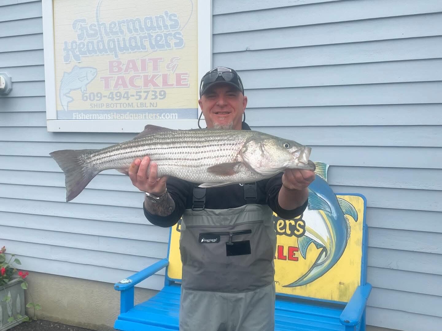 Greg Davis caught this 30" striped bass off the surf on Sunday plugging. He weighed in for the Spring Surf Fishing Derby.