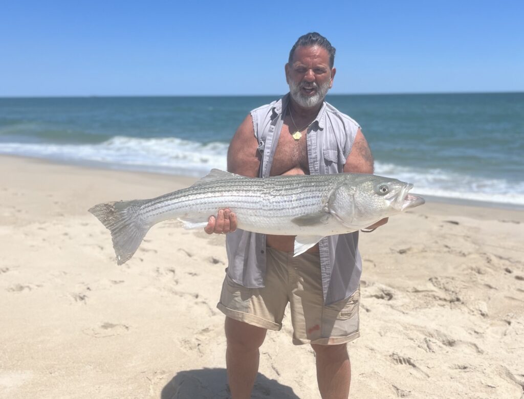 Vince Russo of Russo's Italian Restaurant in Ship Bottom shared an awesome report today (after my afternoon video recording so it was not included). "I had a great day on the surf today in the afternoon... three big striped bass and one slot."