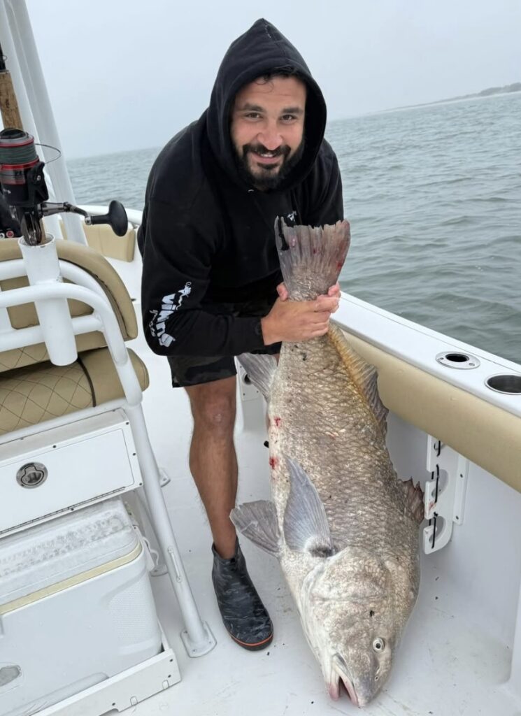 While fluke fishing Little Egg Inlet Sunday Nick Feindt caught this monster black drum.