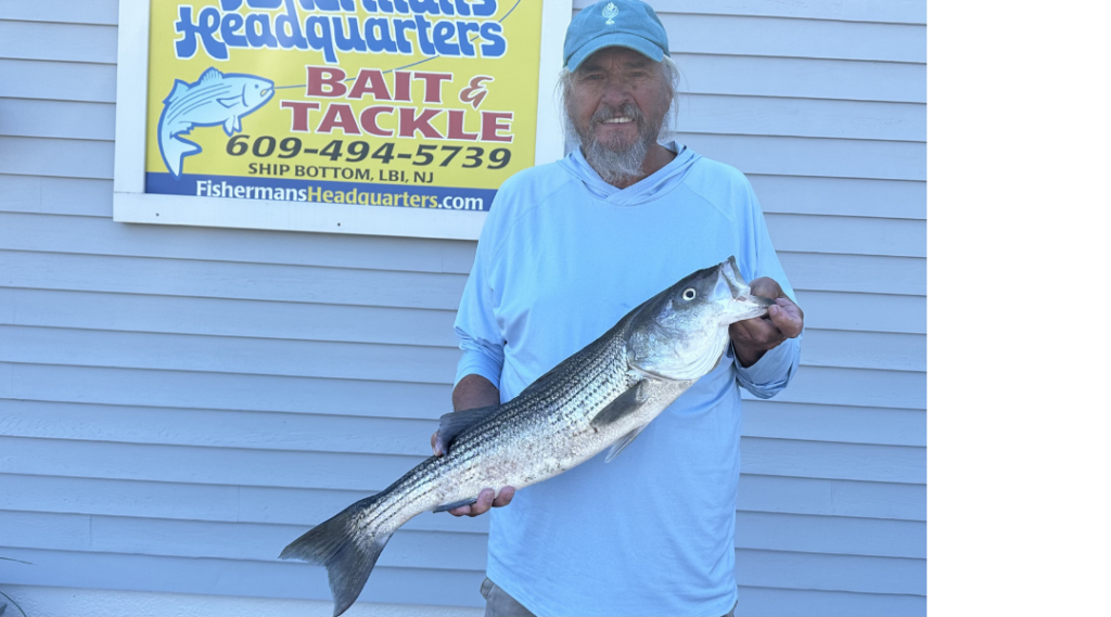 Rick the fishing musician caught this 30" 7# striped bass off the mid-Island surf on Wednesday late morning at dead low tide with old stinky salted clam. 